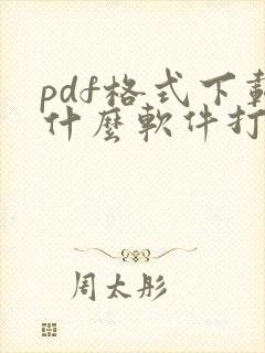 pdf格式下载什么软件打开