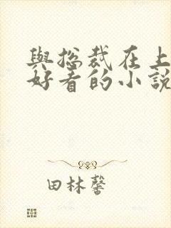 与总裁在上一样好看的小说