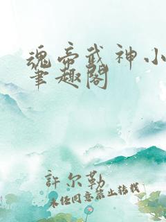 魂帝武神小小八笔趣阁