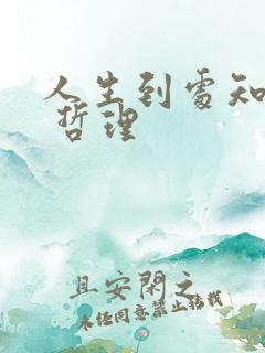 人生到处知何似 哲理