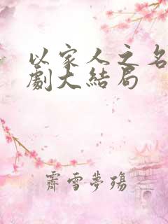 以家人之名电视剧大结局
