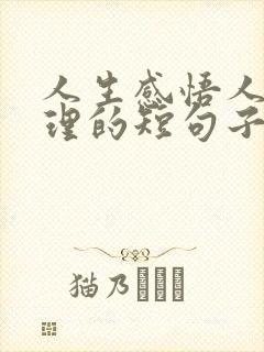 人生感悟人生哲理的短句子
