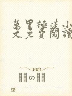 万里极淡小说全文免费阅读最新章节