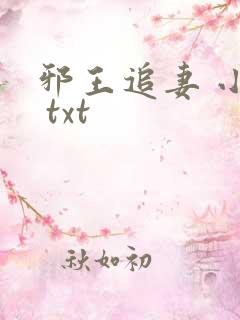 邪王追妻 小说 txt