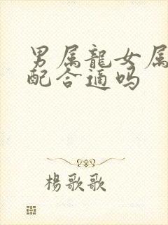 男属龙女属马婚配合适吗