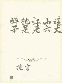 醉枕江山这个皇子是老六大结局