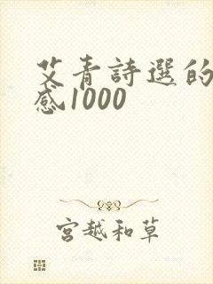 艾青诗选的读后感1000