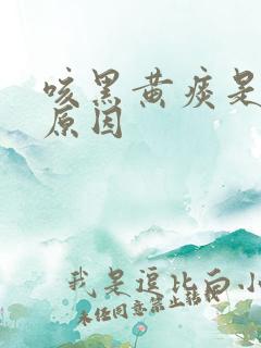 咳黑黄痰是什么原因