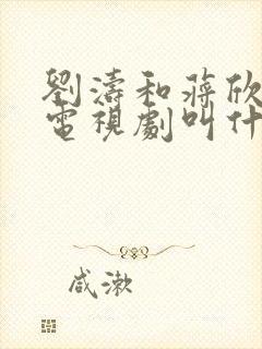 刘涛和蒋欣演的电视剧叫什么名字