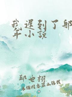 我迟到了那么多年小说