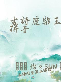 古诗鹿柴王维带拼音