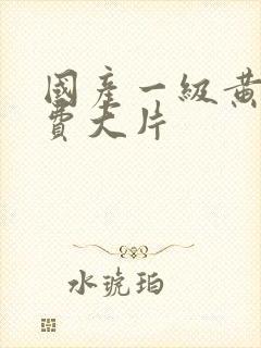 国产一级黄色免费大片