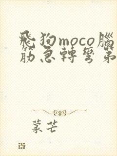 飞狗moco脑筋急转弯第一季