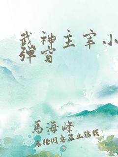武神主宰小说无弹窗