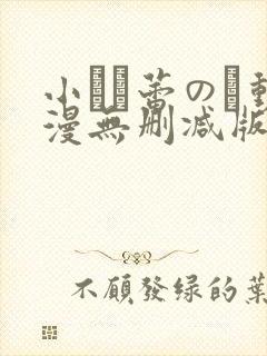 小さな蕾のそ动漫无删减版