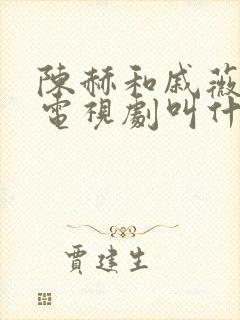 陈赫和戚薇演的电视剧叫什么名字