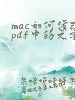 mac如何修改pdf中的文字内容