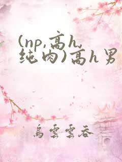 (np,高h,纯肉)高h男男