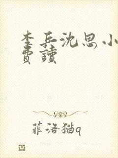 李兵沈思小说免费读