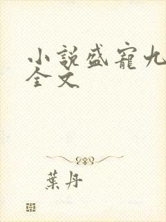 小说盛宠九皇妃全文