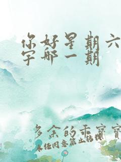 你好星期六王安宇哪一期