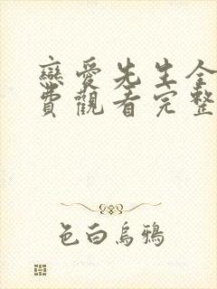 恋爱先生全集免费观看完整版