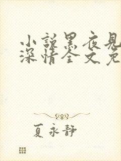 小说黑夜见过他深情全文免费阅读