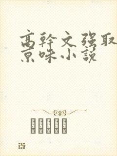 高干文强取豪夺京味小说