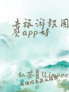 去旅游报团用什么app好