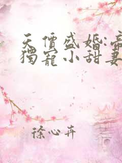 天价盛婚:帝少独宠小甜妻
