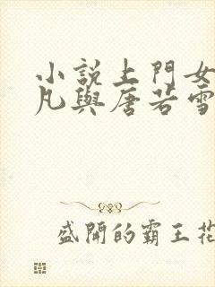 小说上门女婿叶凡与唐若雪