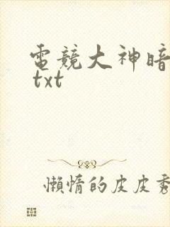 电竞大神暗恋我 txt