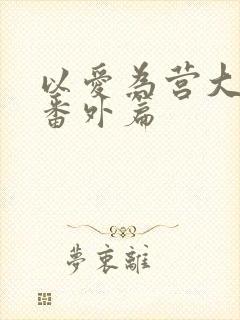 以爱为营大结局番外篇