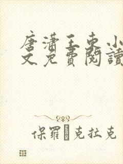 唐潇王东小说全文免费阅读