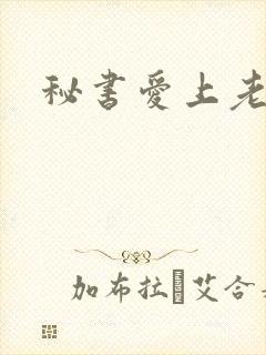 秘书爱上老板