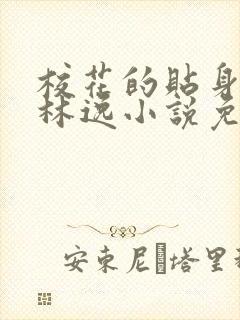 校花的贴身高手林逸小说免费在线阅读完整版