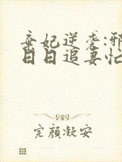 弃妃逆袭:邪王日日追妻忙小说阅读