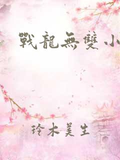 战龙无双小说版