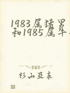 1983属猪男和1985属牛女婚姻好吗