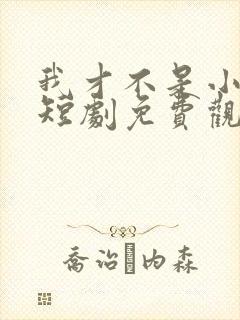 我才不是小可怜短剧免费观看