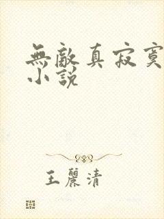 无敌真寂寞有声小说