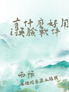 有什么好用的ai换脸软件