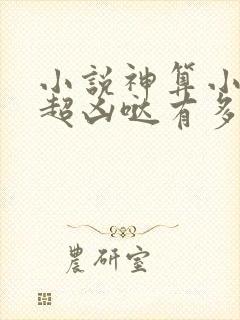 小说神算小萌妃超凶哒有多少章