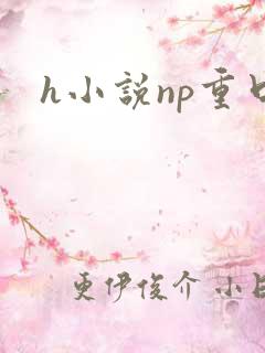 h小说np重口