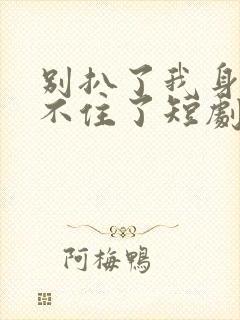 别扒了我身份藏不住了短剧完整版