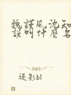 魏谨风沈知玉小说叫什么名字