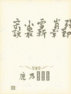 宋小雪 肖强小说最新章节阅读全文