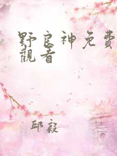 野良神免费在线观看
