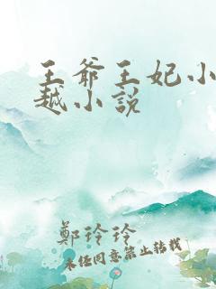 王爷王妃小说穿越小说