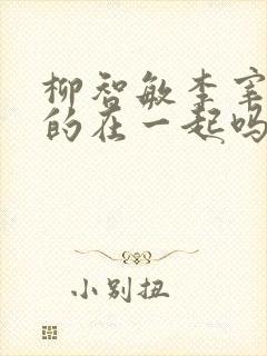 柳智敏李宰旭真的在一起吗